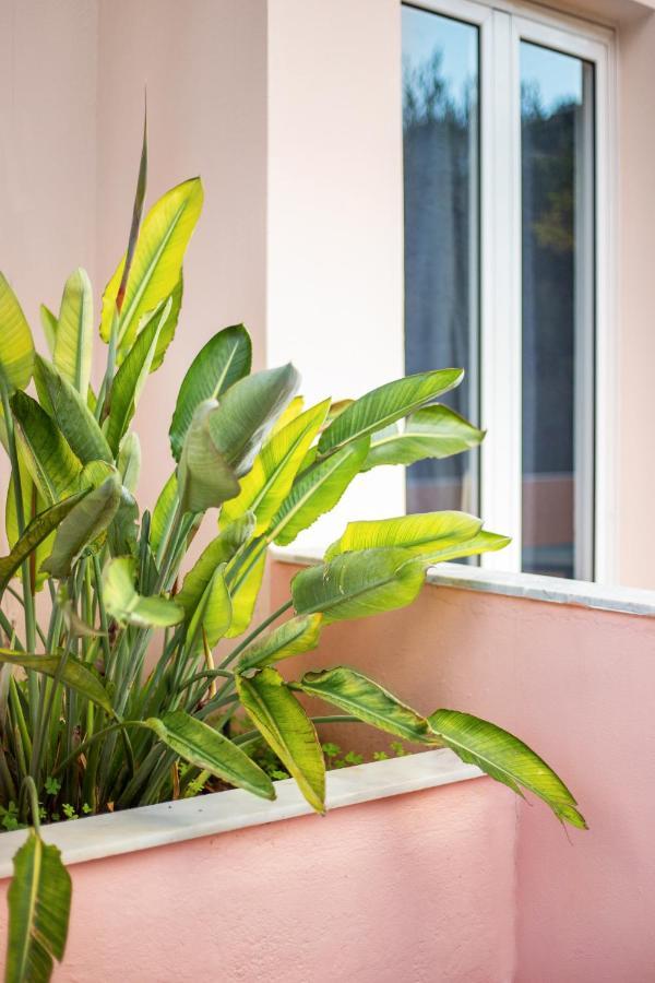 Aphrodite Studios & Apartment Bali  Buitenkant foto